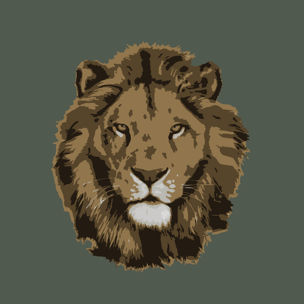 Super Set- Big Five (Khaki)